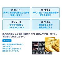 カビ消臭なっとう君 押入れ下駄箱用 150g 1個 ダイアックス