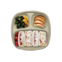 トーシン エコ バガス 業務用 仕切プレート クラフト 1箱（1000枚：50枚入×20袋）