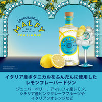 イタリア マルフィ ジン コン リモーネ 41度 700ml 1本 正規品 ペルノリカール