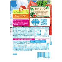 グミ 食べきりサイズ 果汁グミ すいか 1セット（1個×6）