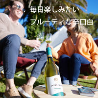 オーストラリア ジェイコブスクリーク シャルドネ 白ワイン 辛口 750ml 1本 ペルノリカール