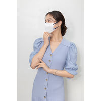 伊藤忠リーテイルリンク Eーlineマスク ホワイト×ネイビー 1箱（30枚入）