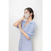 伊藤忠リーテイルリンク Eーlineマスク グレージュ×ブラック 1箱（30枚入）