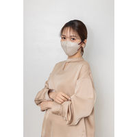 伊藤忠リーテイルリンク Eーlineマスク ベージュ×ワインレッド 1袋（7枚入）