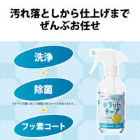【アウトレット】【Goエシカル】訳あり エレコム クリーナー 液体 除菌 汚れ落とし フッ素コート 時短 300ml HAーCKKC300 1個