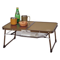 パール金属 モンテ アルミ薄型FDテーブル <棚網付> UC-0607 1個（直送品）