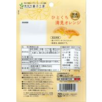 ドライフルーツ 食べきりサイズ ひとくち清見オレンジ 1セット(1個×5) 南信州菓子工房