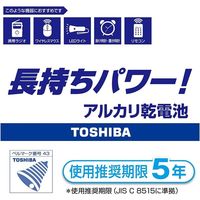 東芝 LR14L 100P 1個