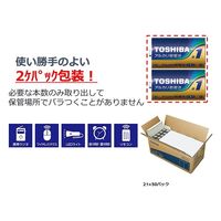 東芝 LR20L 100P 1個