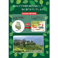 国太楼 ダージリン紅茶 三角ティーバッグ 1袋（25バッグ入）