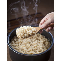 ぷちっともち玄米 900g 1個 アルファー食品株式会社