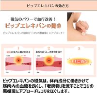 ピップ エレキバン MAX200 1箱（48粒入） EL2048 ピップ PIP ELEKIBAN