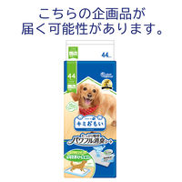 エリエール キミおもい パワフル消臭シート ワイド 無香タイプ 44枚入 1セット（1袋×4）大王製紙
