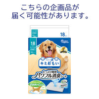 エリエール キミおもい パワフル消臭シート スーパーワイド 無香タイプ 18枚入 1セット（1袋×4）大王製紙