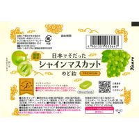 キャンディ 個包装  日本でそだったシャインマスカットのど飴 11粒入 1セット(1個×20) カンロ