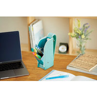 レイメイ藤井 デテクールペンケース グリーン FY379M 1個