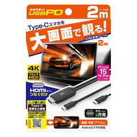 カシムラ HDMI変換ケーブル Type-C専用 PD KD-266 1本（わけあり品）