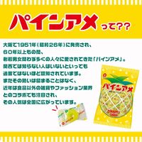 パインアメサワーの素 25度 600ml 1本 リキュール 中野BC