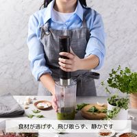 ZWILLING J.A.HENCKELS 【ツヴィリング】エクステンド ハンドブレンダー スターターセット Z1030-457-0 1個