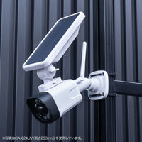 サンワサプライ  結束バンド（屋外用・耐候性・長さ300mm・幅7.6mm・50本入り） CA-625UV（直送品）