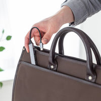 サンワサプライ  USB Type-C 4ポート コンボ 超スリムハブ USB-5TC26GM（直送品）