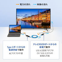 サンワサプライ  USB Type-CーHDMI変換エクステンダー（4K対応） VGA-EXHDC（直送品）