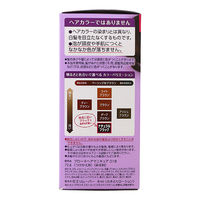 ブローネ ヘアマニキュア 白髪染め ナチュラルブラック 付け替え 72g 花王