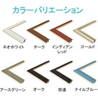 アルナ　トレード デッサン額　ＨＶＭ　Ａ２　アースグリーン　屋内用 088252 1枚（直送品）