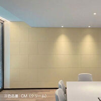 ドリックス フェルメノン 吸音パネル FB- 800×600mm クリーム FB-8060C-CM 1セット(12枚入り)（直送品）