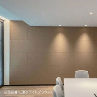 ドリックス フェルメノン 吸音パネル FB- 800×600mm ライトブラウン FB-8060C-LBR 1セット(12枚入り)（直送品）