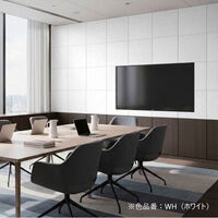 ドリックス フェルメノン 吸音パネル FB- 400×400mm ホワイト FB-4040C-WH 1セット(30枚入り)（直送品）