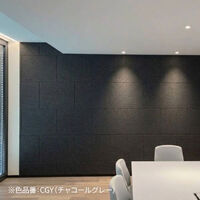 ドリックス フェルメノン 吸音パネル FB- 800×600mm チャコールグレー FB-8060C-CGY 1セット(12枚入り)（直送品）