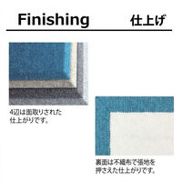 ドリックス フェルメノン 吸音パネル EX- 800×600mm ダークグレイ EX-8060C-DGY 1セット(12枚入り)（直送品）