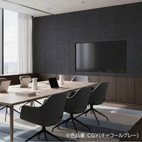 ドリックス フェルメノン 吸音パネル FB- 400×400mm チャコールグレー FB-4040C-CGY 1セット(30枚入り)（直送品）