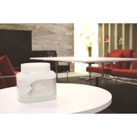 エステー 消臭力 サニティー  業務用　室内用消臭芳香剤 クラッシュゲル 置き型  大型タイプ 無香料 本体1.7kg