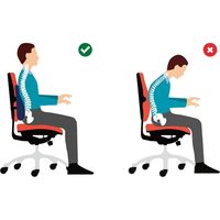 3D低反発ランバーサポート 60065 3個 トレードワン（直送品）