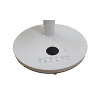 エスケイジャパン モバイルバッテリー対応 扇風機 30CM SKJ-ST300MB 1台（直送品）