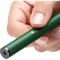 サンワサプライ グリーンレーザーポインター LP-GL1017G 1個（直送品）