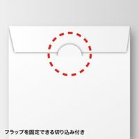 サンワサプライ CD／DVDペーパーケースホワイト100枚 FCD-PS100WN 1パック（直送品）