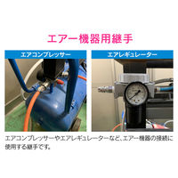 カクダイ エアプラグ G1/4 20型 内ネジ GA-JM043 1個