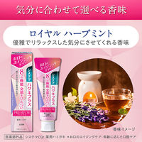 システマ ハグキプラス プレミアムハミガキ ロイヤルハーブミント 95g ライオン フッ素 歯磨き粉