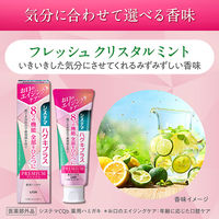 システマ ハグキプラス プレミアムハミガキ フレッシュクリスタルミント 95g ライオン 歯磨き粉 歯周病