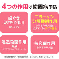 システマ ハグキプラスW ホワイトニング ハミガキ 高濃度フッ素配合 歯周病予防 95g 1本 ライオン