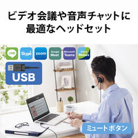 ヘッドセット 耳掛けタイプ USB接続 マイク搭載 両耳 軽量 ブラック HS-EH02UBK エレコム 1個（直送品）