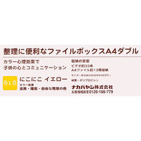 ナカバヤシ セラピーキッズカラー ファイルボックス A4ダブル イエロー フボ-TCW5KY