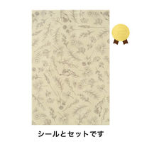 ヘッズ ベルプランツOPPギフトバッグ-1 500枚(50枚×10) BEP-OP1（直送品）