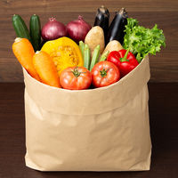 【紙袋】重包装袋（2層・舟底タイプ） 1セット（30枚:10枚入×3袋）丸紅フォレストリンクス