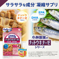 ナットウキナーゼ EPA DHA 約30日分(30粒入り)【小林製薬の栄養補助食品】 1セット（3袋） サプリメント