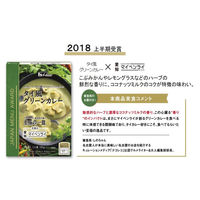タイ風グリーンカレー 中辛 ＜JAPAN MENU AWARD＞ 1人前180g 1セット（10個） レンジ対応 ハウス食品