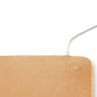 アイリスオーヤマ ヒートクッション HW-IC4-C 1個